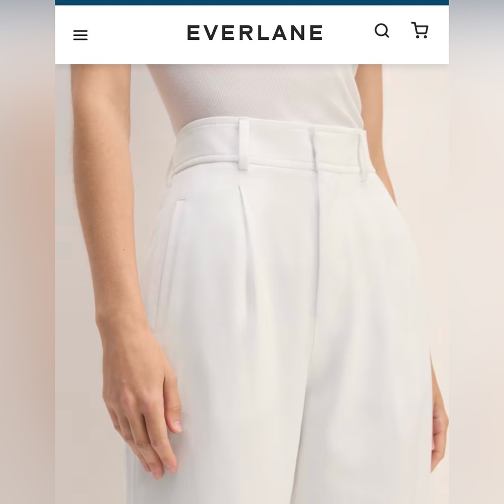 Everlane The Draper Pleated Pant